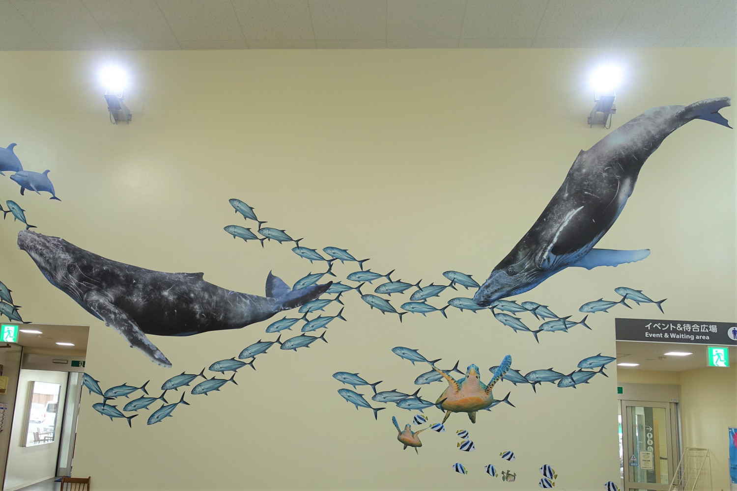糸満市場 いとま る の壁面に大きなザトウクジラが出現 沖縄観光情報webサイト おきなわ物語