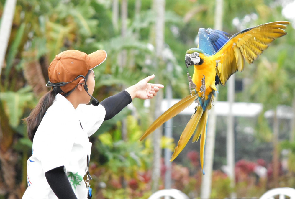 5月の沖縄の気候 服装 最新イベント情報 沖縄観光情報webサイト おきなわ物語