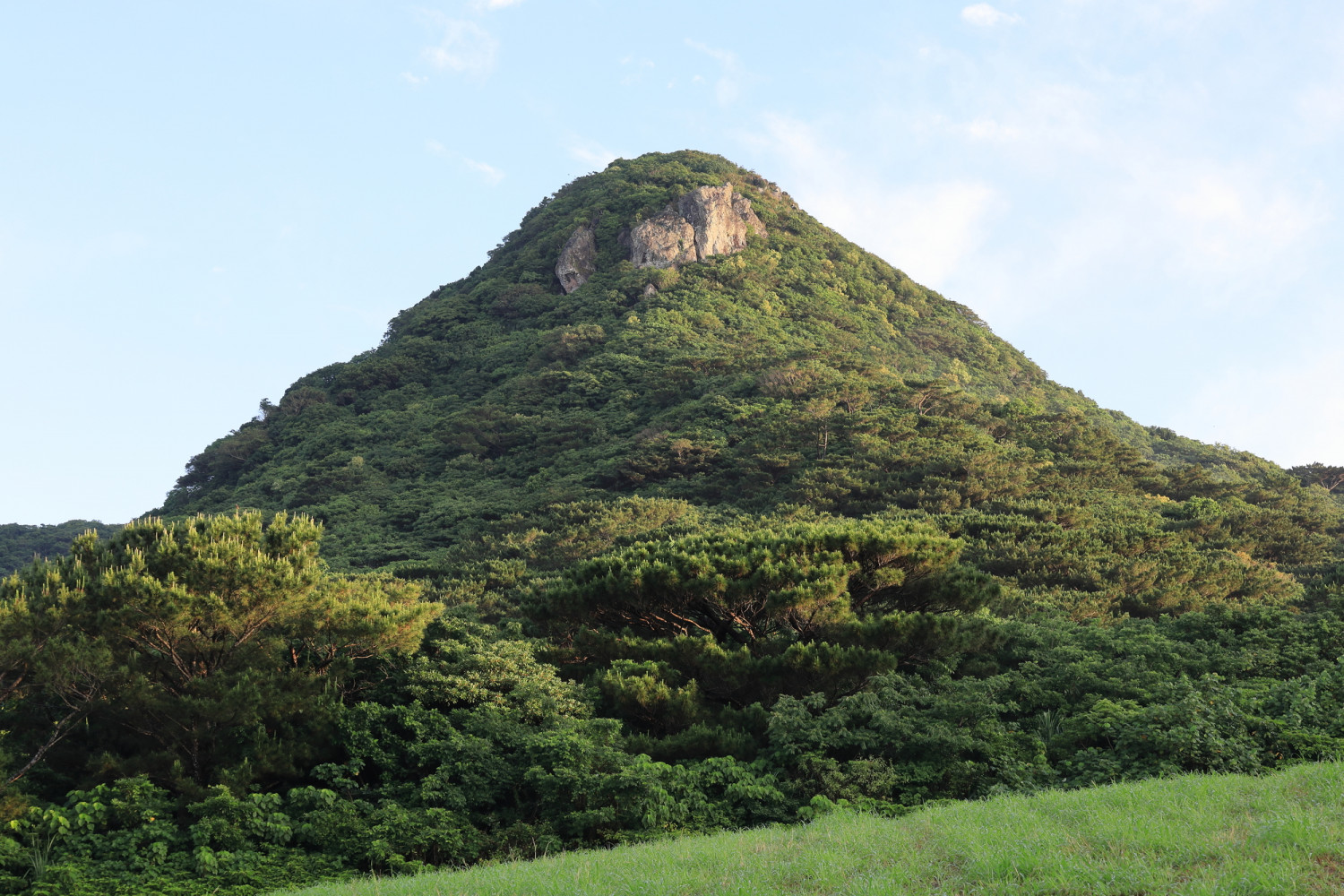 世界自然遺産にも登録！海だけじゃない沖縄の山や自然の魅力 | 沖縄 