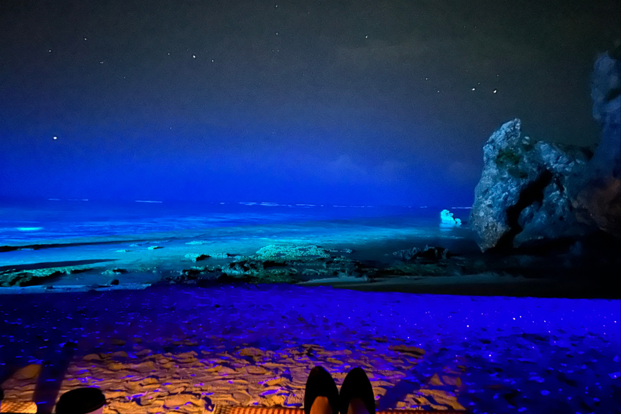 iPhoneで幻想的な写真が撮れました