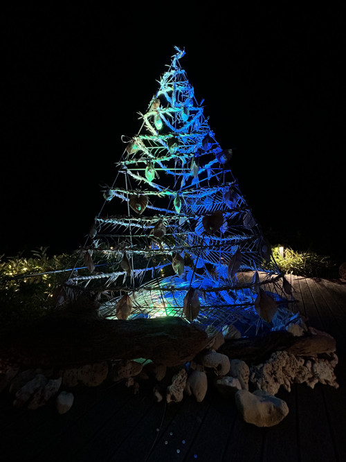 ティンガーラポットツリー