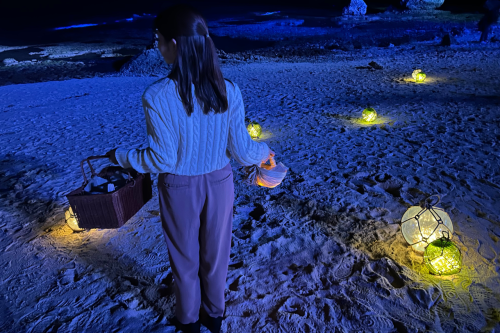 バスケットを手に、お気に入りの場所を探し中・・・