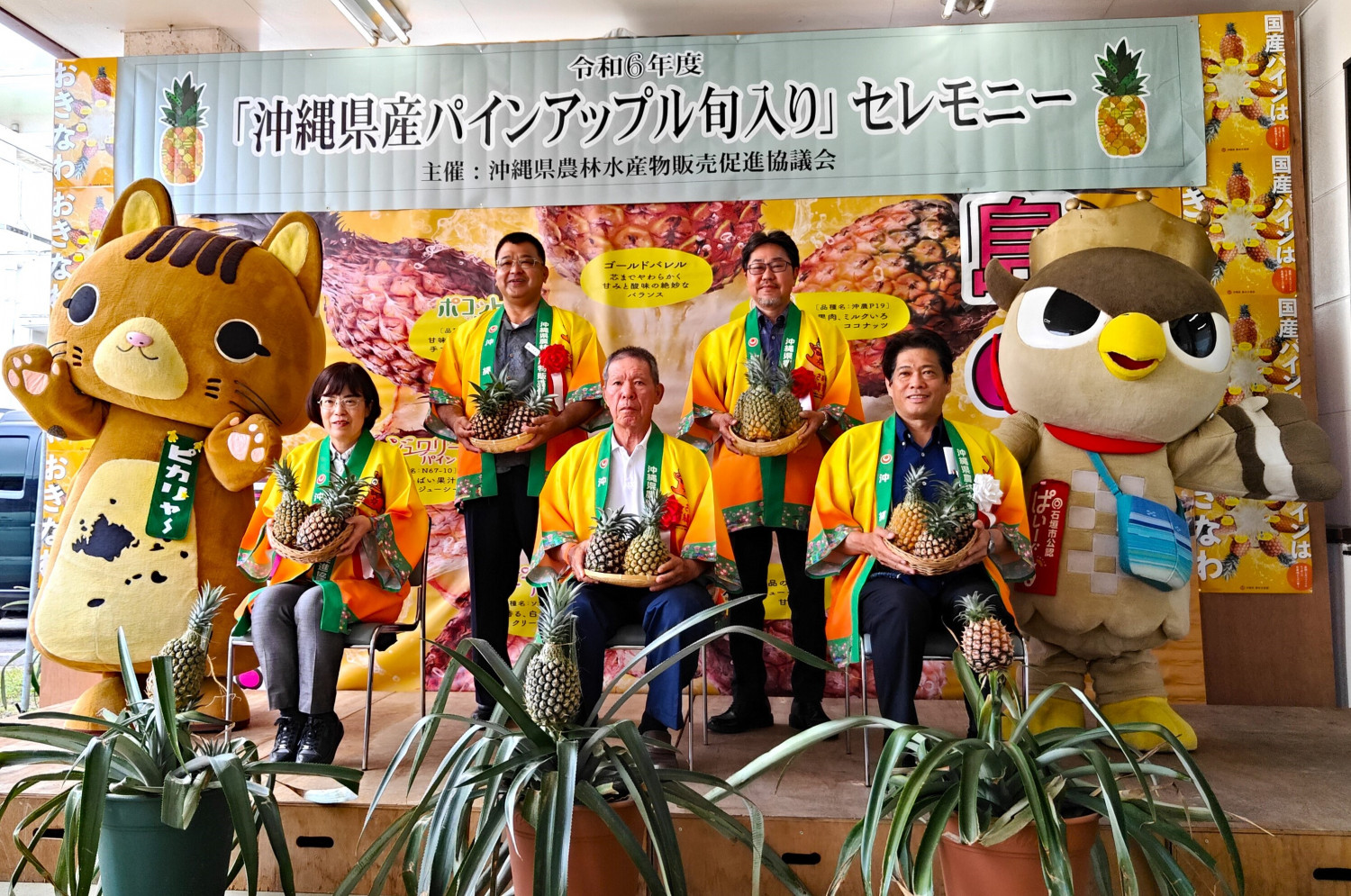 今が時期！沖縄県産パイナップル！ | 沖縄観光情報WEBサイト おきなわ物語