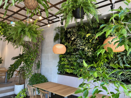 【7月22日オープン】園芸YouTuberが沖縄で作った植物だらけのカフェ「GREEN＆CAFE」（那覇市エリア）