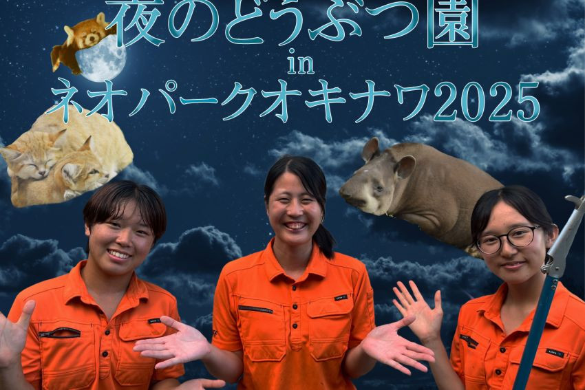 夜のどうぶつ園inネオパークオキナワ2025開催！！