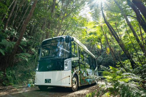 EVバスで巡る「やんばるの森ネイチャーガイドツアー」