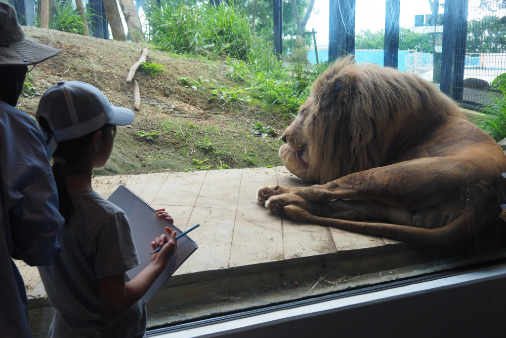 沖縄こどもの国 Okinawa Zoo & Museum（沖縄市）