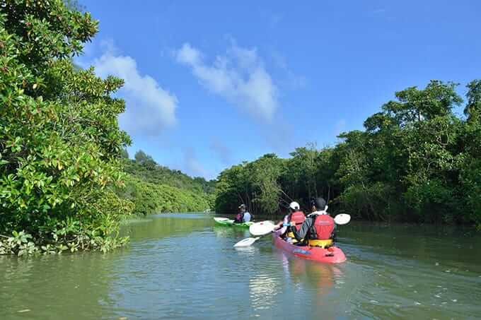 マングローブカヌーツアー