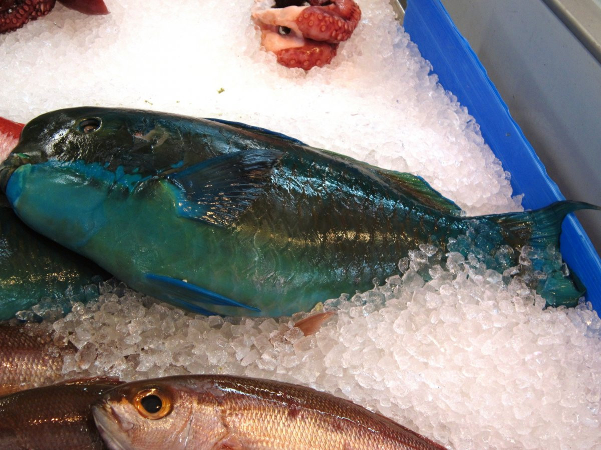 美しいブルーのイラブチャーは酢味噌和えがおすすめ