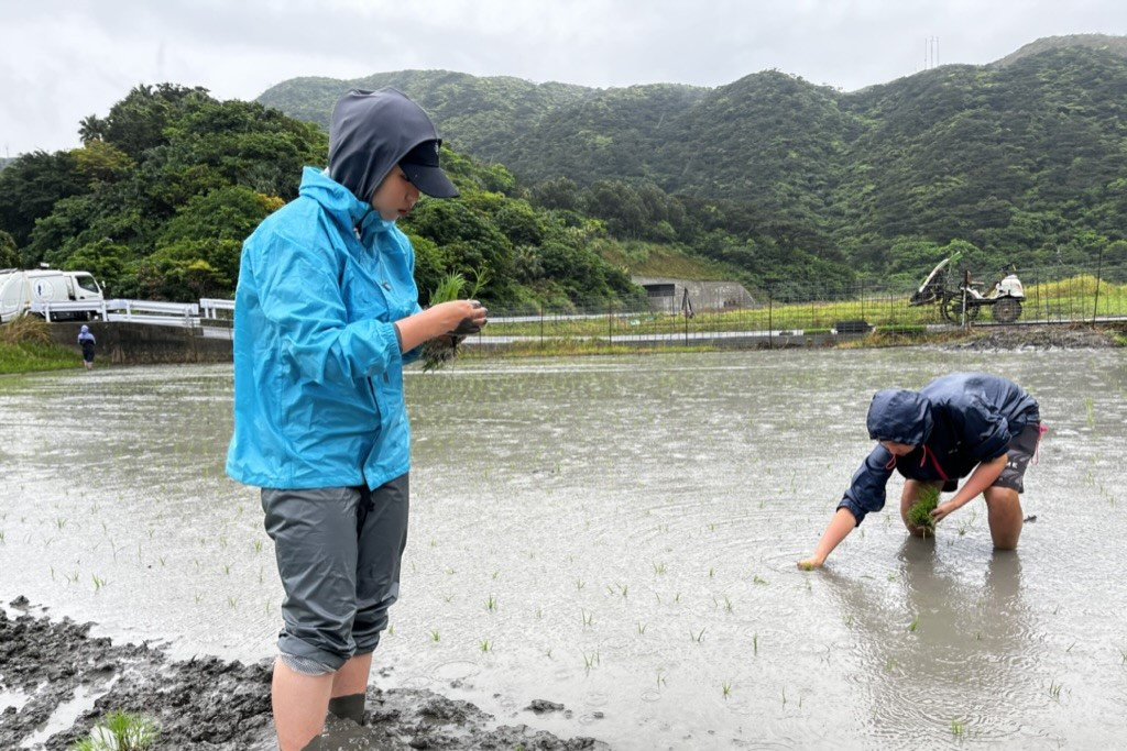 2回目：田植え体験