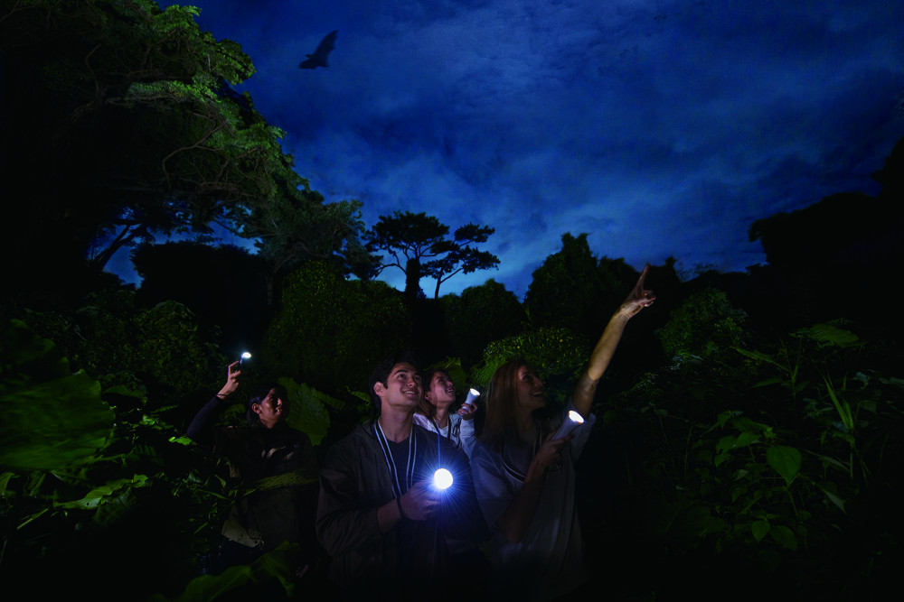 ジャングルで原始体験