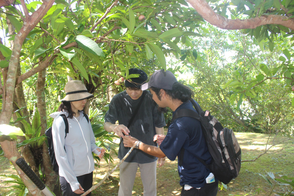 ③ ガイドのライブ解説