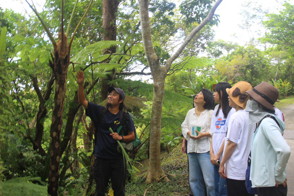 ① 亜熱帯の森をガイドと散策