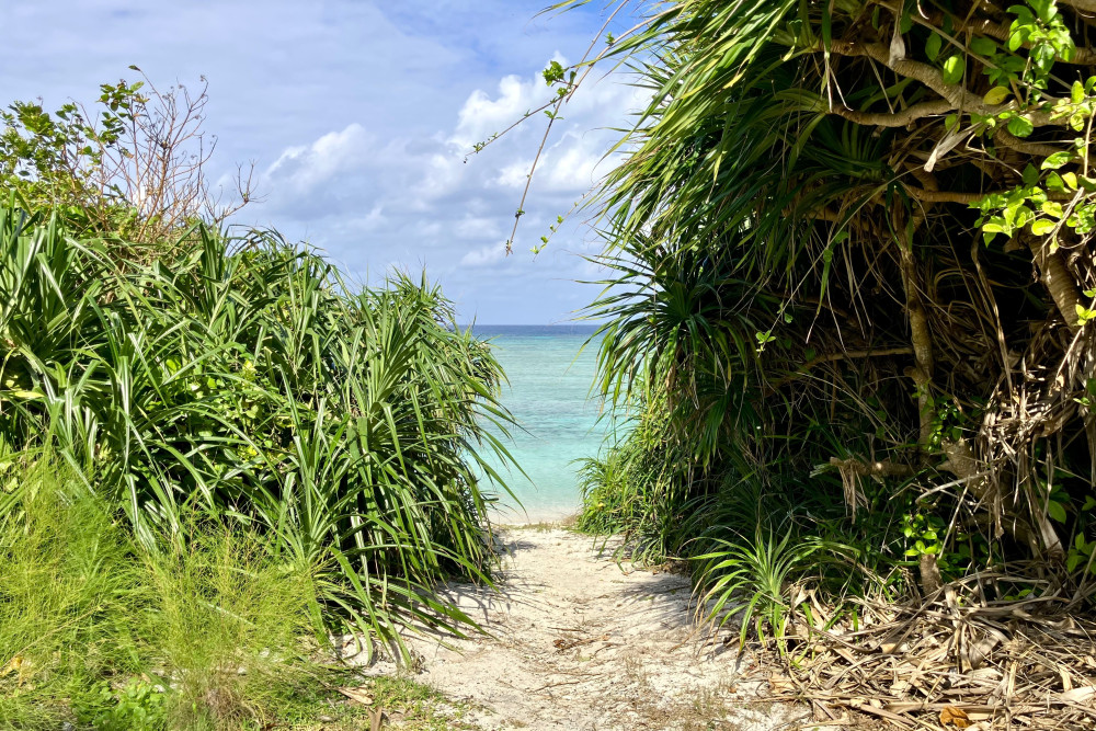 緑の風景と歴史を感じる多良間島1泊2日