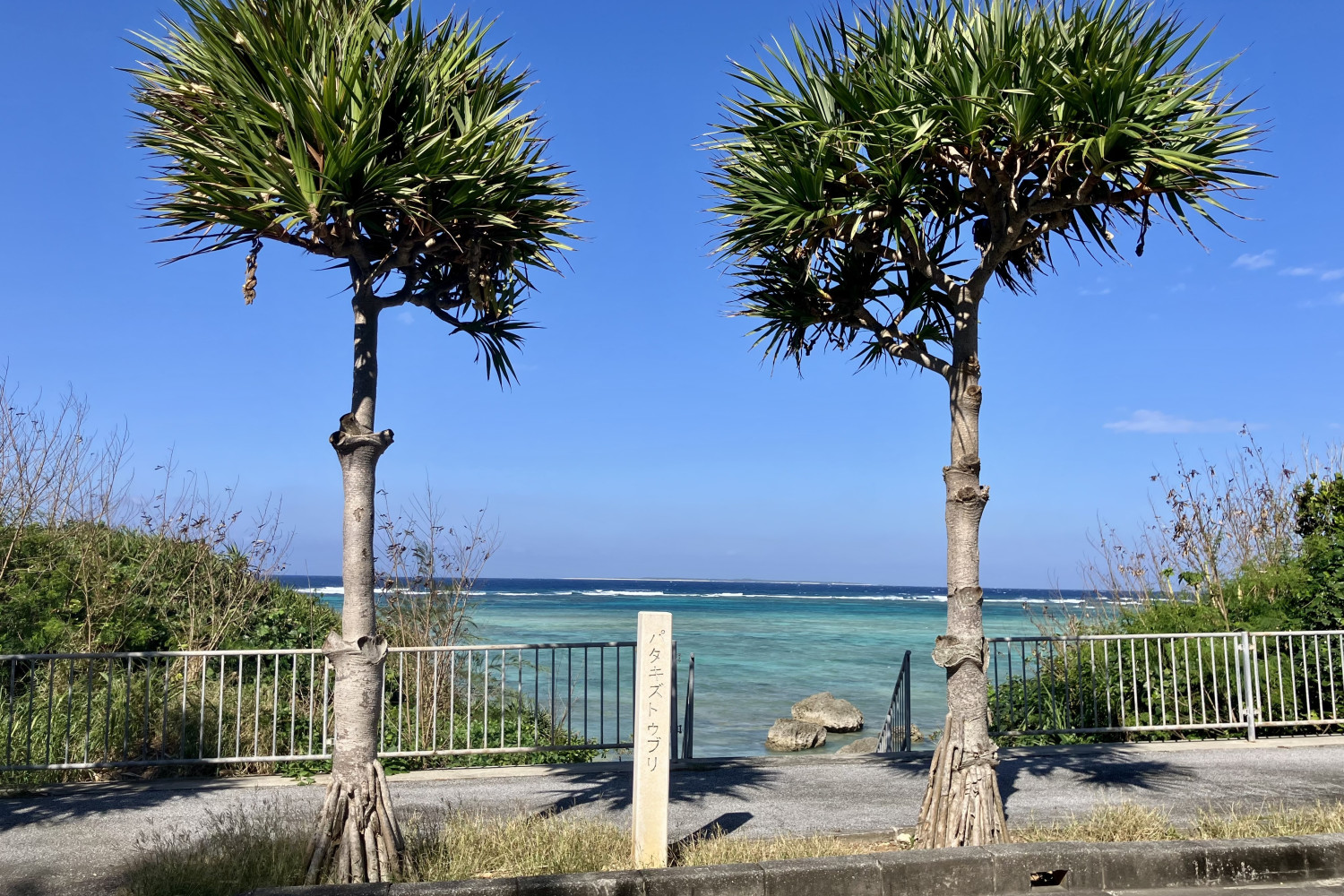 パタキズトゥブリ