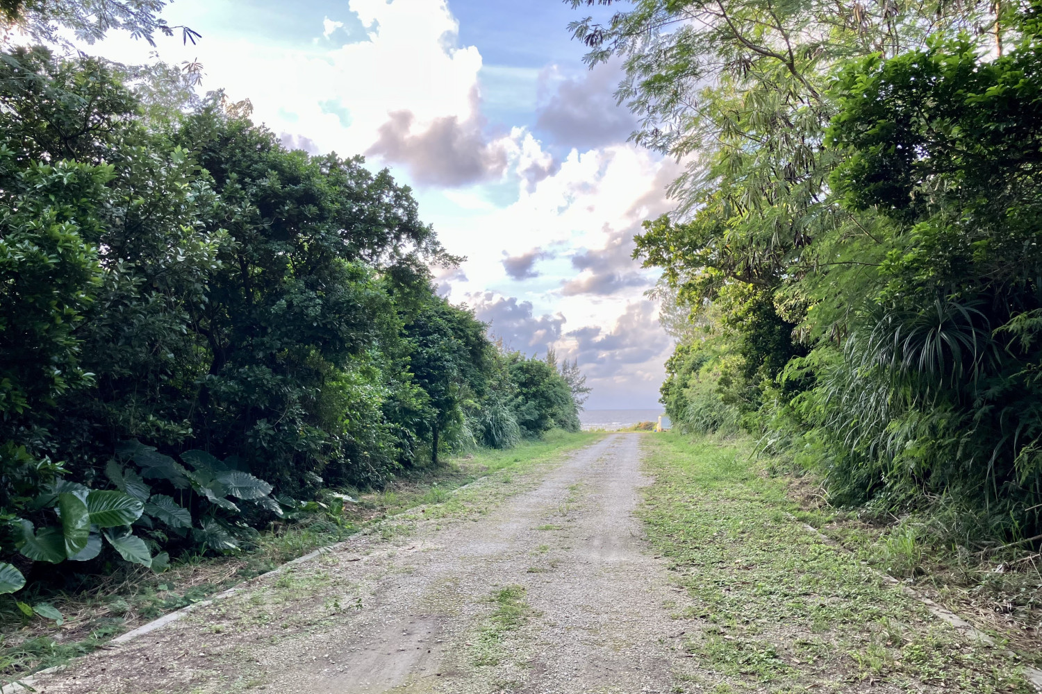 タカタトゥブリ