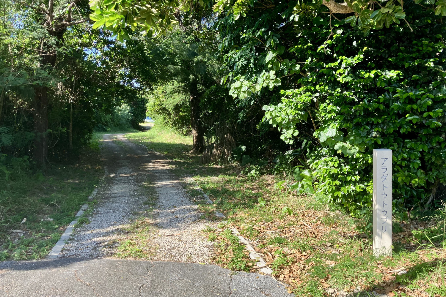 アラダトゥトゥブリ