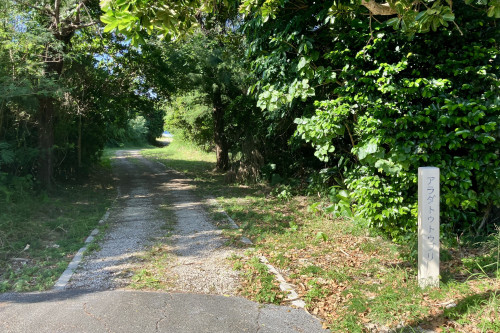 アラダトゥトゥブリ