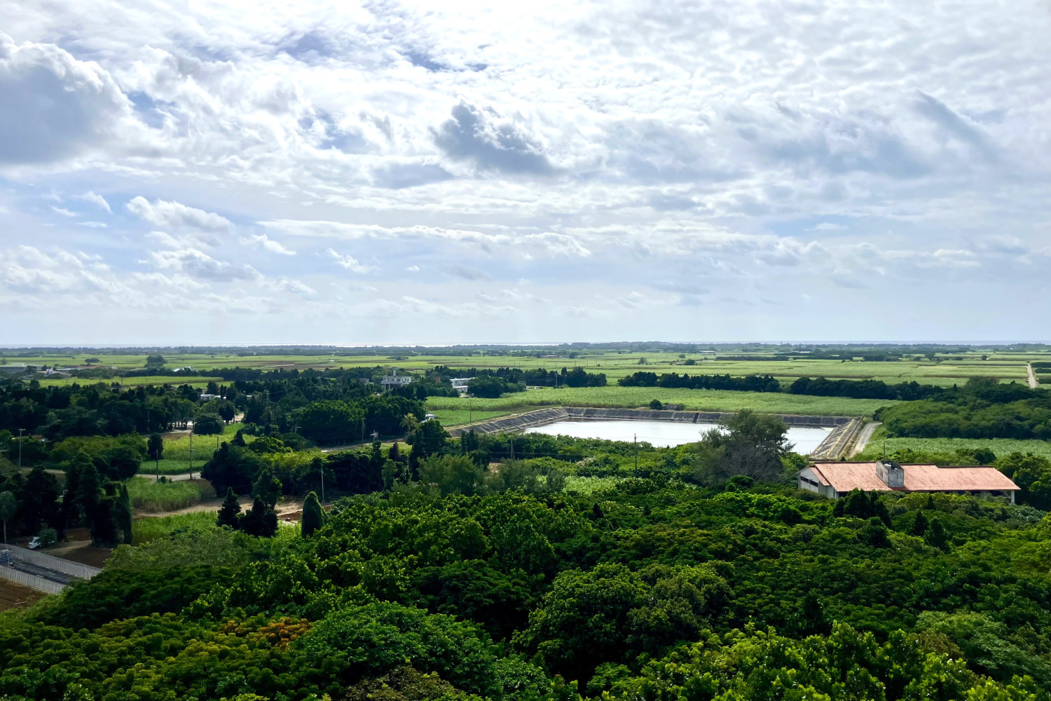 展望台からの眺め