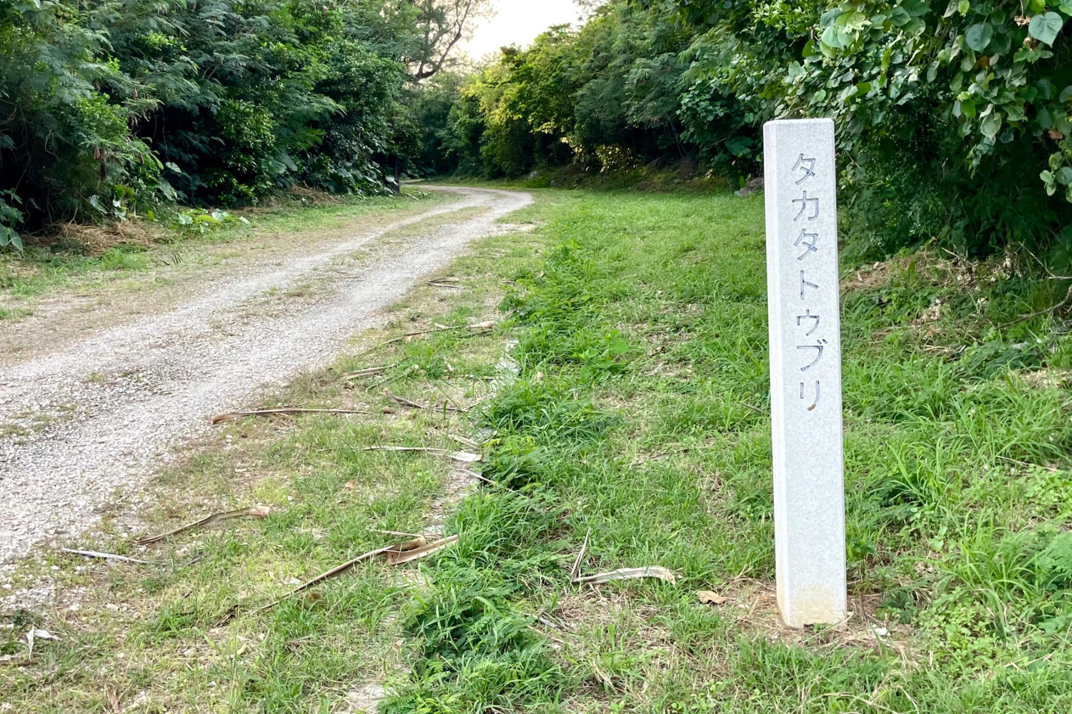 タカタトゥブリ