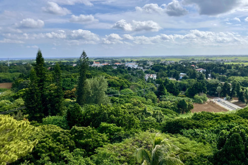 展望台からの眺め