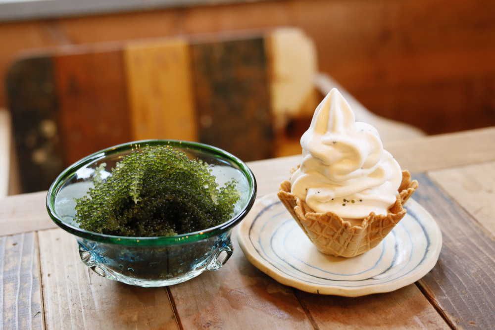 ④海ぶどう農園　海ん道 ~uminchi～