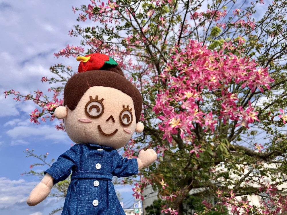 沖縄の素敵なものを紹介しているよ～♡