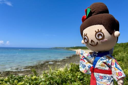 ダイビングスポットとしても人気。