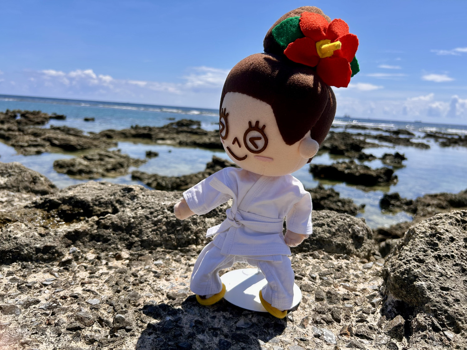 空手のポーズをきめてみました!