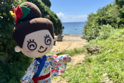 干潮時には、美しい魚の姿を観察できます。