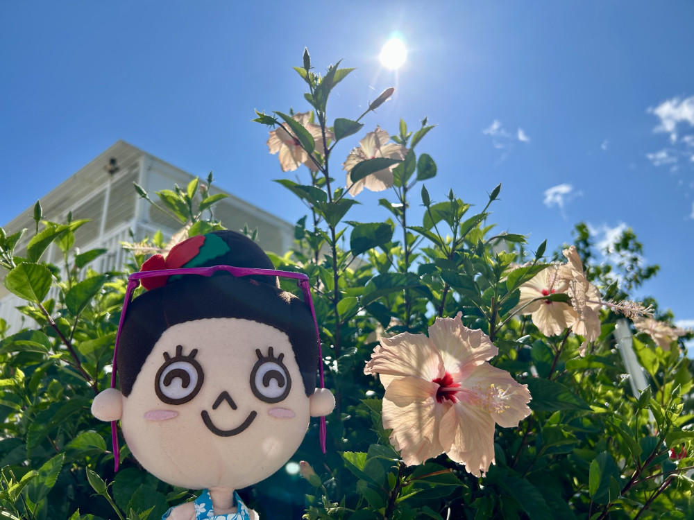 XとFacebookでも沖縄の情報を発信しています！