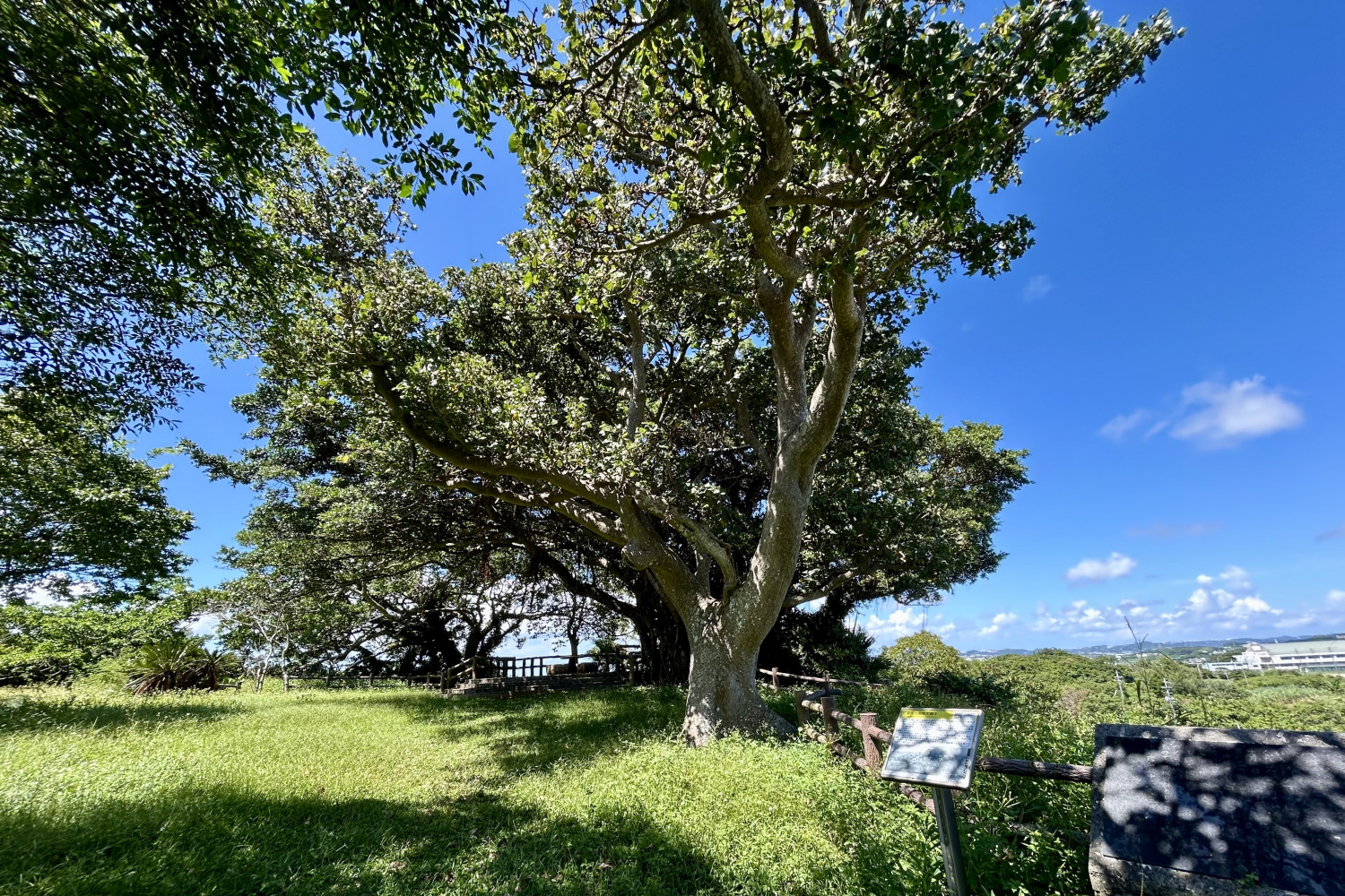 高台の自然豊かな場所にありました!