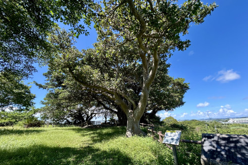 高台の自然豊かな場所にありました!