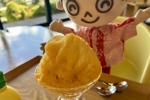 「100%マンゴーかき氷」は、ふわふわでとろけるような口当たりが魅力。