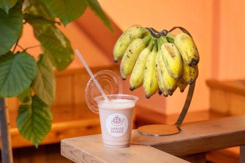 HARUSA〜SHAKE ＜南城市＞