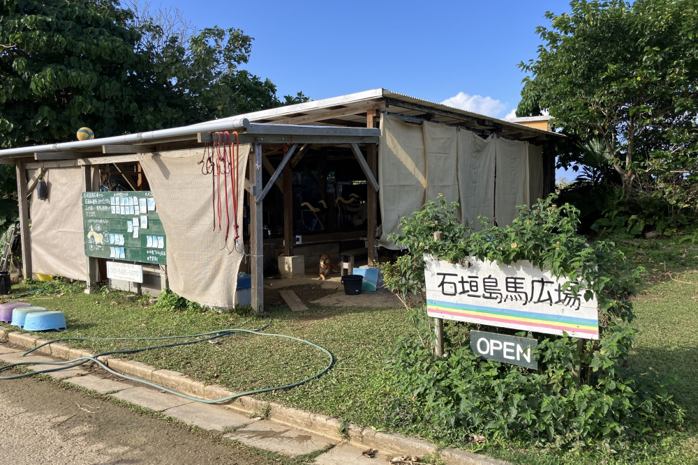 石垣島馬広場
