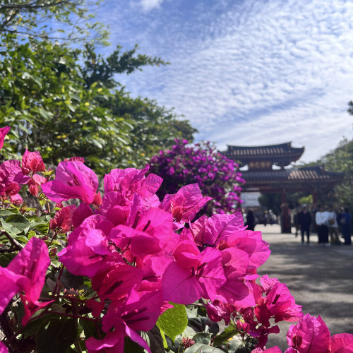 ©国営沖縄記念公園(首里城公園)