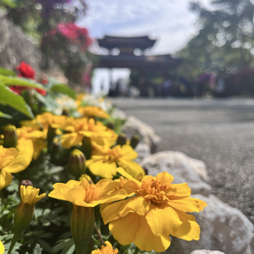 ©国営沖縄記念公園(首里城公園)