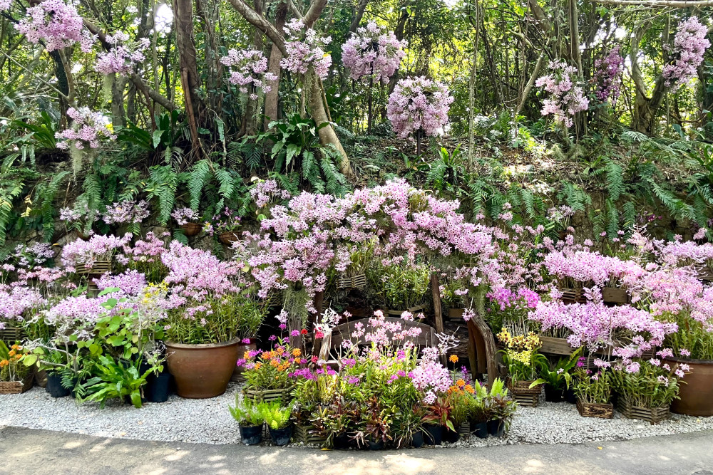 できること｜散策＆写真撮影