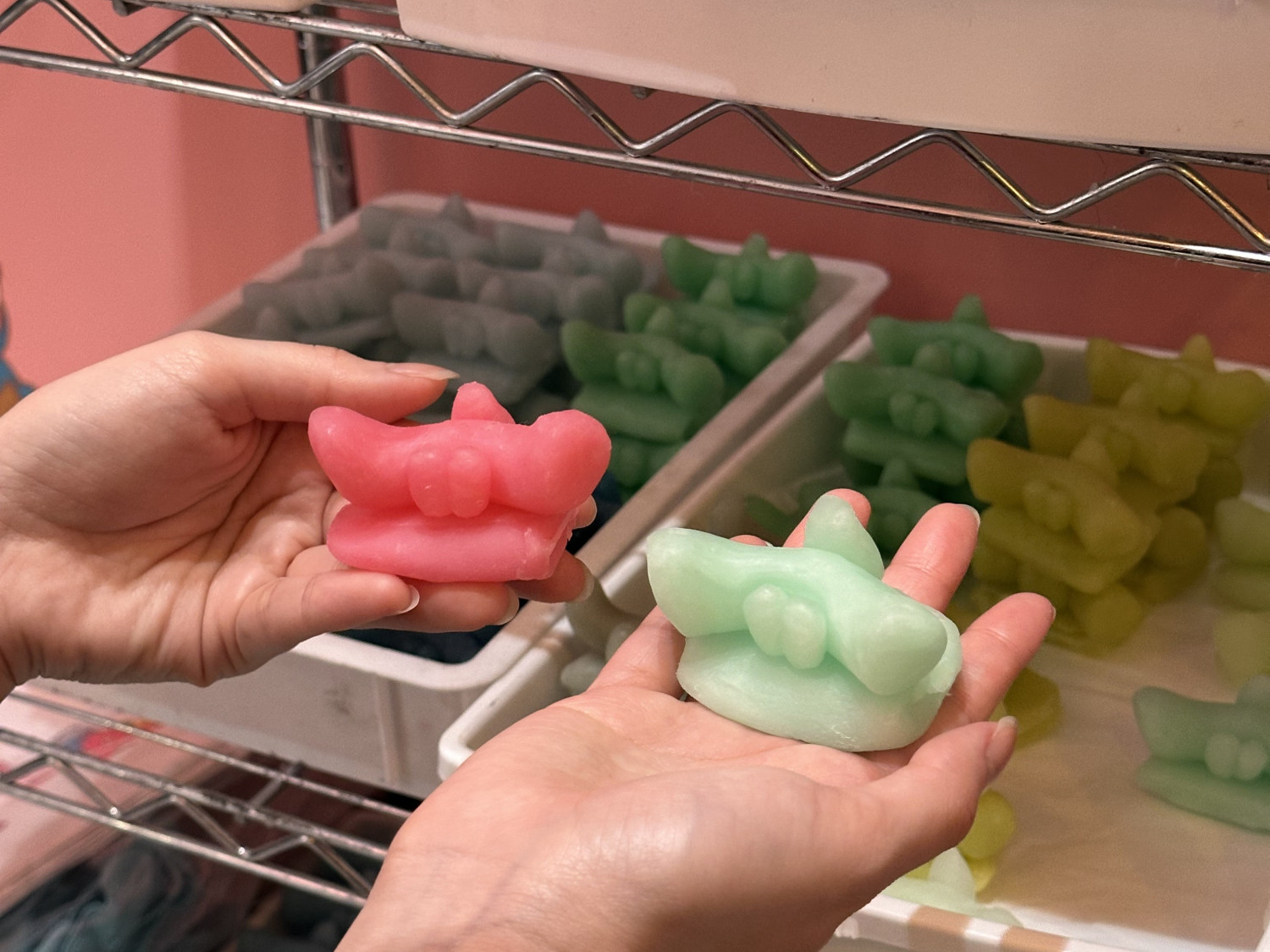 ベースとなるシーサーを選ぶ