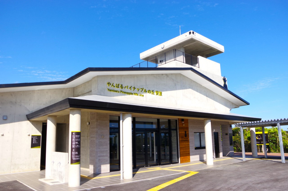 ⇒道の駅 やんばるパイナップルの丘 安波⇒名護市内着