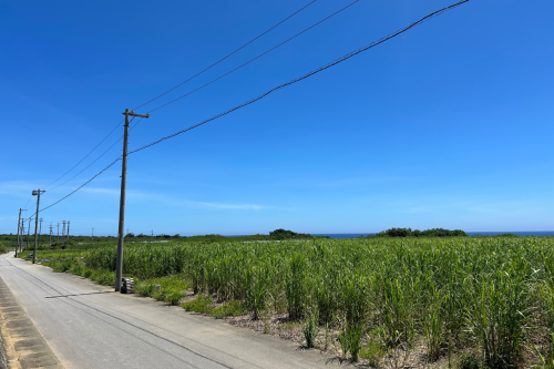 海だけじゃない。糸満に残る沖縄の原風景