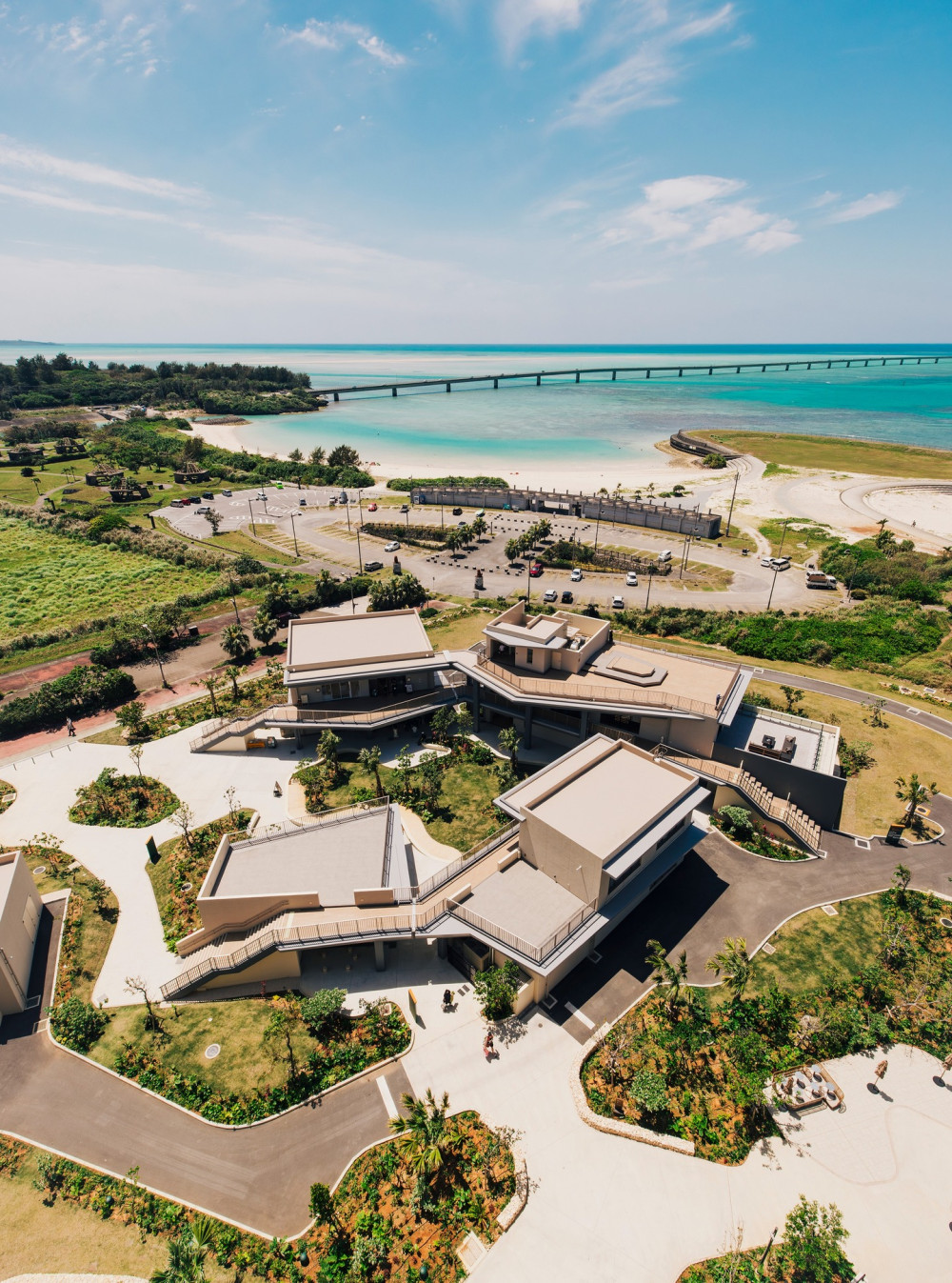 Yard miyakojima