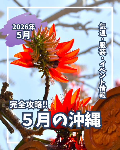 Instagram人気投稿 第３位！