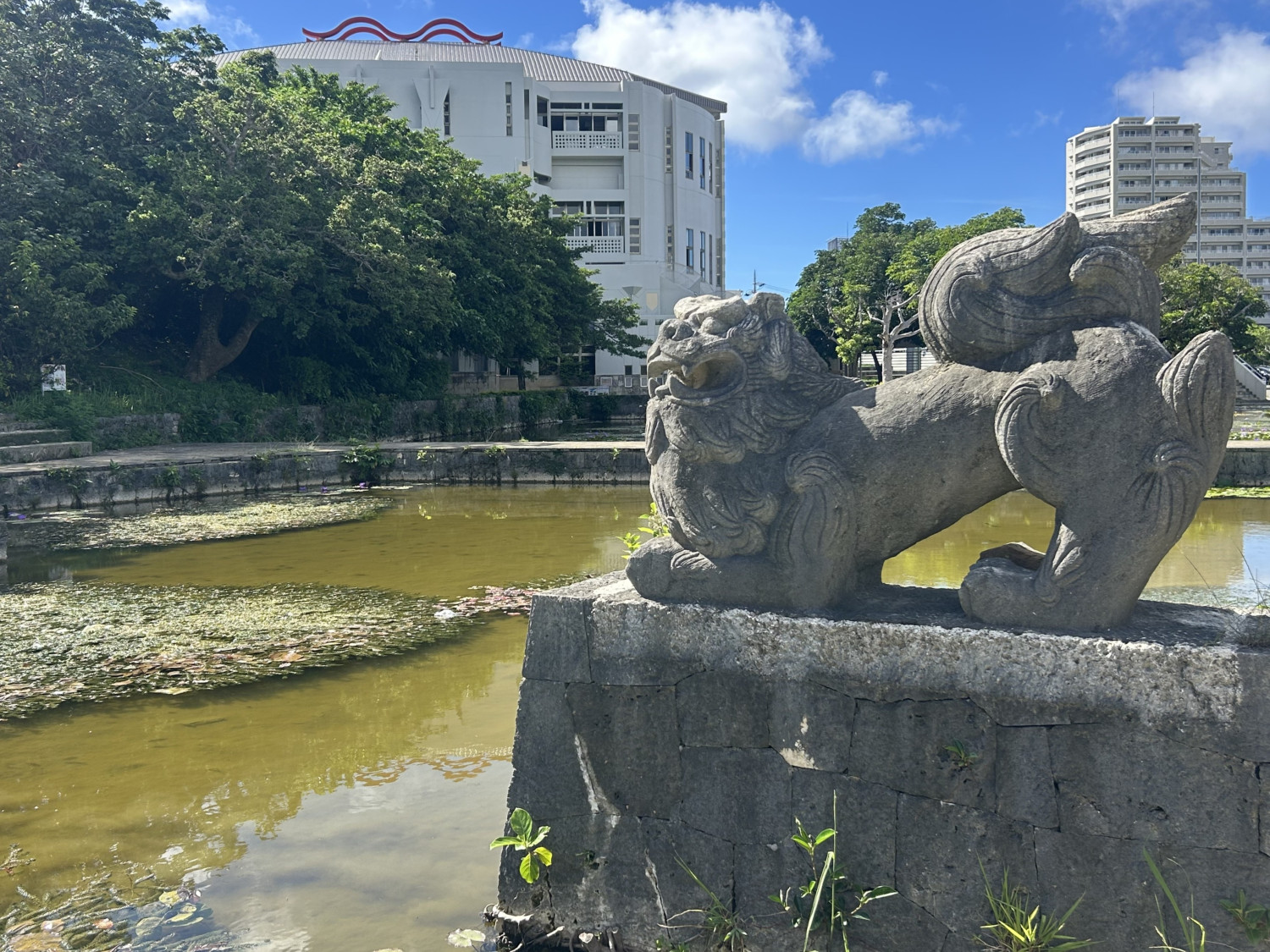 公園内にある池のそばには勇ましいシーサーが佇み、公園を見守っています。