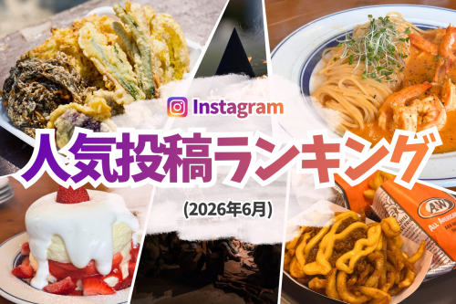 【2026年6月版】