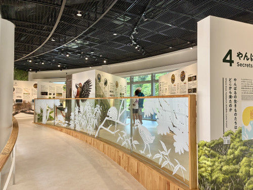 パネル展示