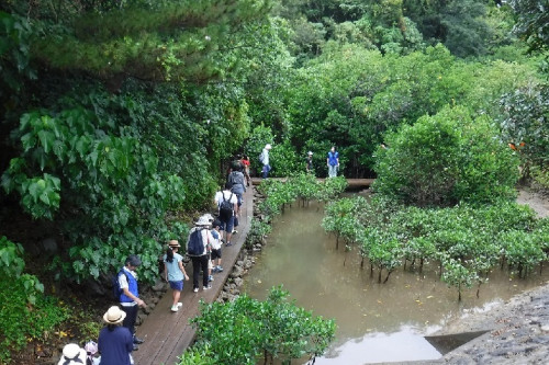 豊かな水の恵みと素朴な自然を体感できる宜野座村