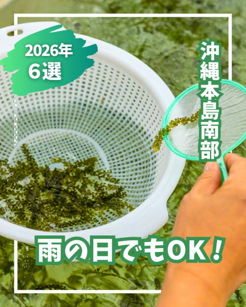 01｜雨の日でも楽しめる観光スポット