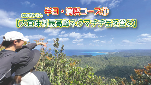 ガイド付きツアー「大宜味村最高峰ネクマチヂ岳を登る」